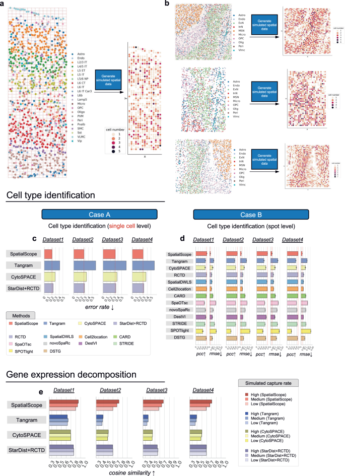 Integrating spatial and single-cell transcriptomics data using deep ...