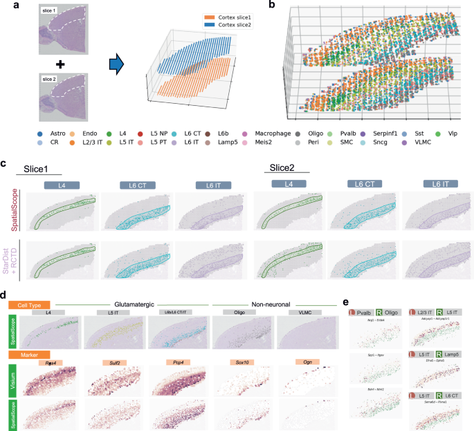 Integrating spatial and single-cell transcriptomics data using deep ...