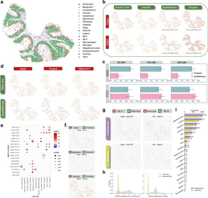 Integrating spatial and single-cell transcriptomics data using deep ...