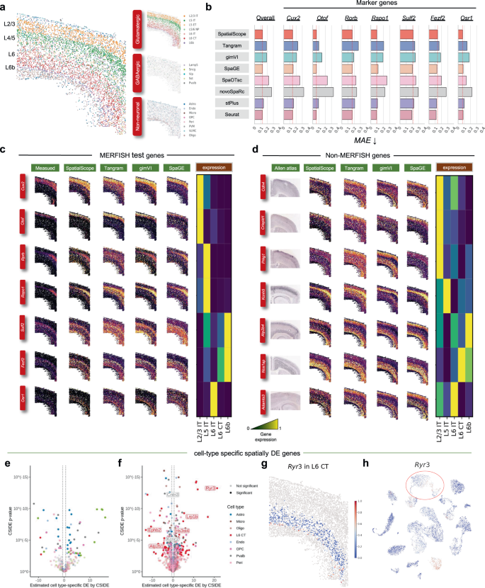 Integrating spatial and single-cell transcriptomics data using deep ...
