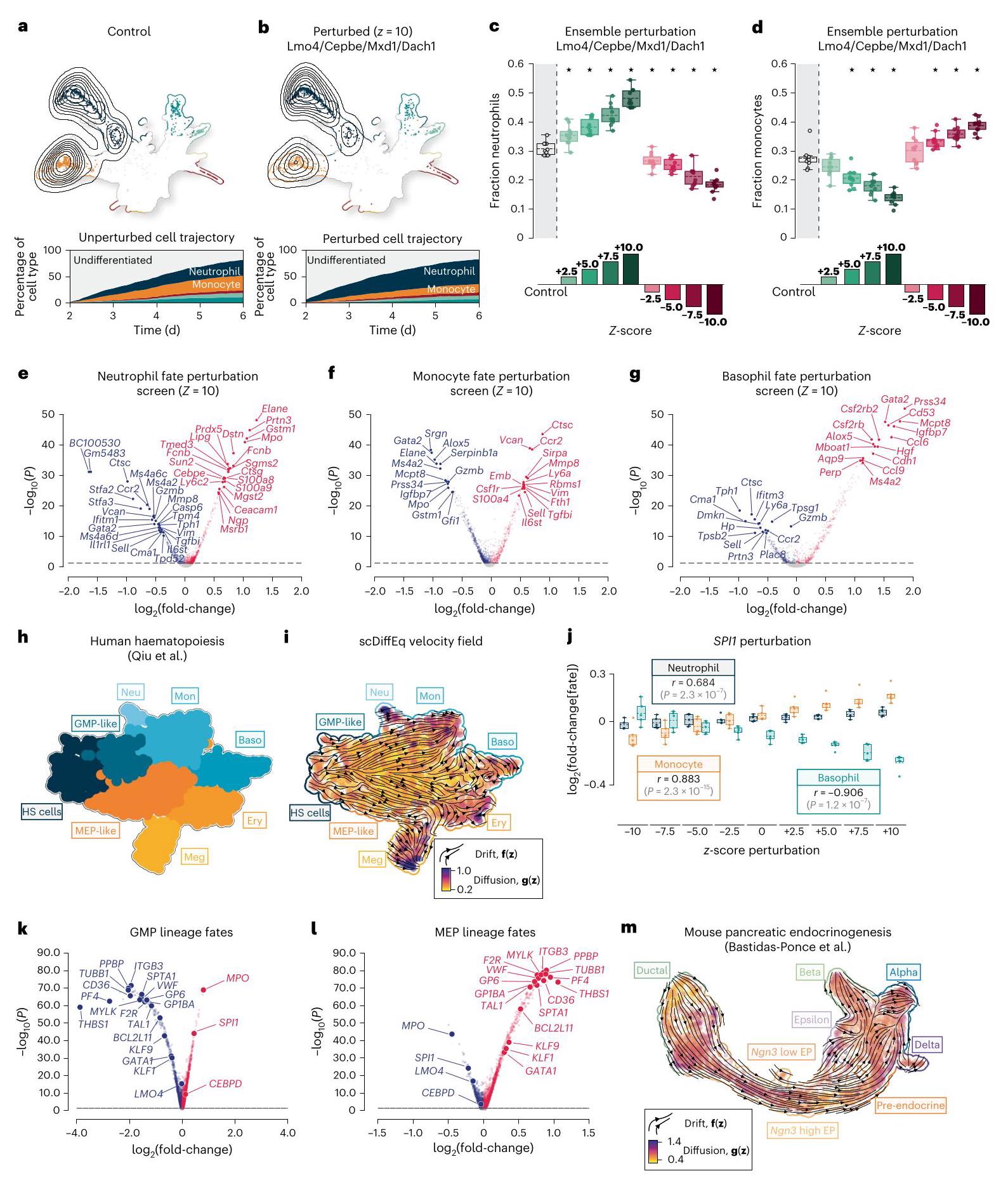 Learning cell dynamics with neural differential equations | 集智斑图