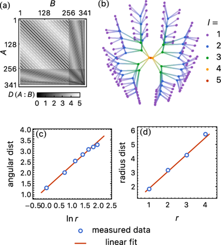 Machine learning holographic mapping by neural network renormalization ...
