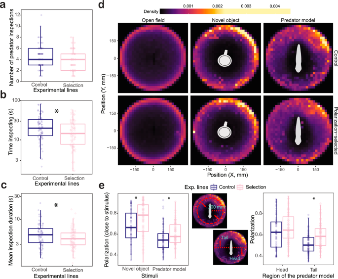 Evolution of schooling drives changes in neuroanatomy and motion ...