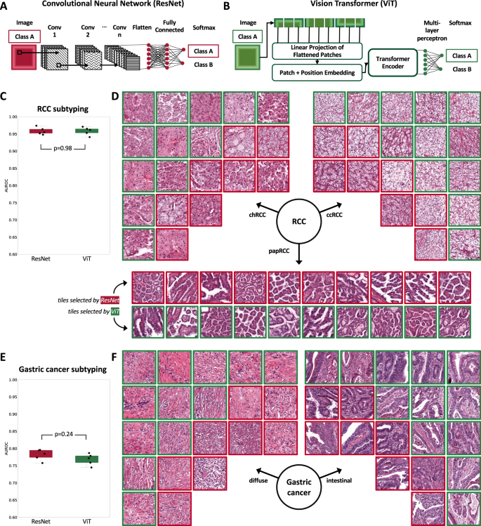 Adversarial attacks and adversarial robustness in computational ...