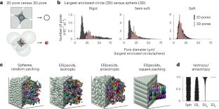 Identification and analysis of 3D pores in packed particulate materials ...