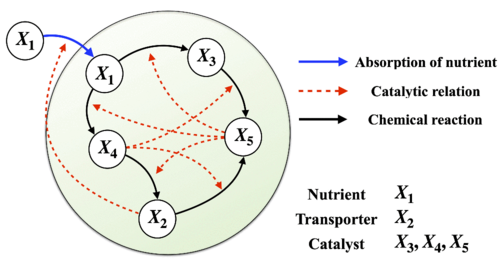 Evolutionary dimension reduction in phenotypic space | 集智斑图