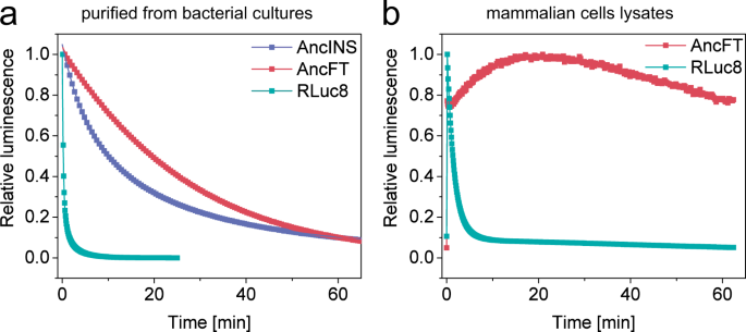 Engineering the protein dynamics of an ancestral luciferase | 集智斑图