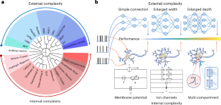 Network model with internal complexity bridges artificial intelligence ...