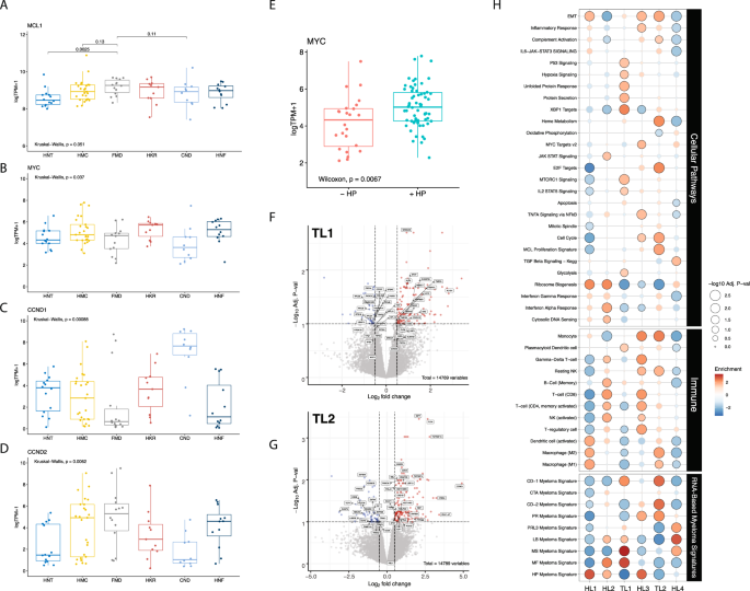 Genetic Subtypes Of Smoldering Multiple Myeloma Are Associated With