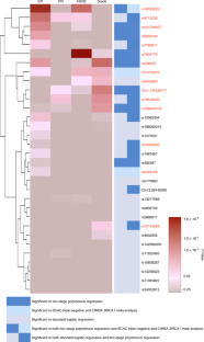 Genome-wide association study identifies 32 novel breast cancer ...