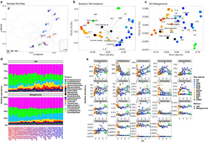 Bacterial genome size and gene functional diversity negatively ...