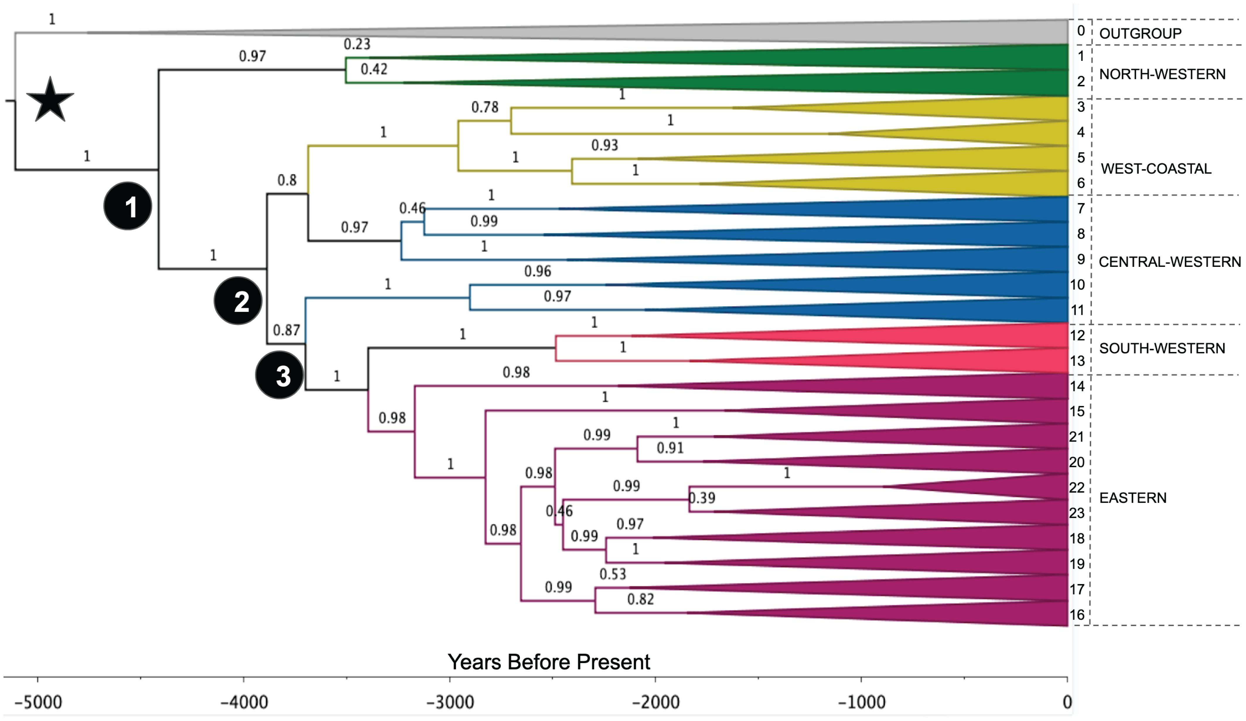 Phylogeographic Analysis Of The Bantu Language Expansion Supports A ...