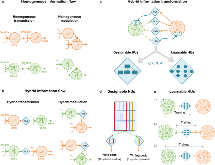 A framework for the general design and computation of hybrid neural ...