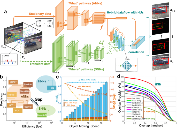 A framework for the general design and computation of hybrid neural ...
