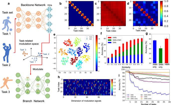 A framework for the general design and computation of hybrid neural ...