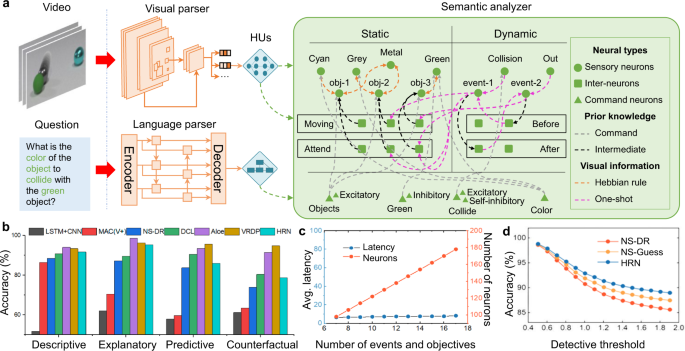 A framework for the general design and computation of hybrid neural ...