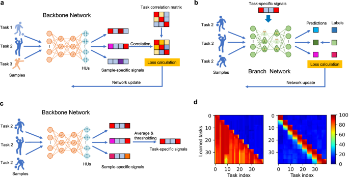 A framework for the general design and computation of hybrid neural ...