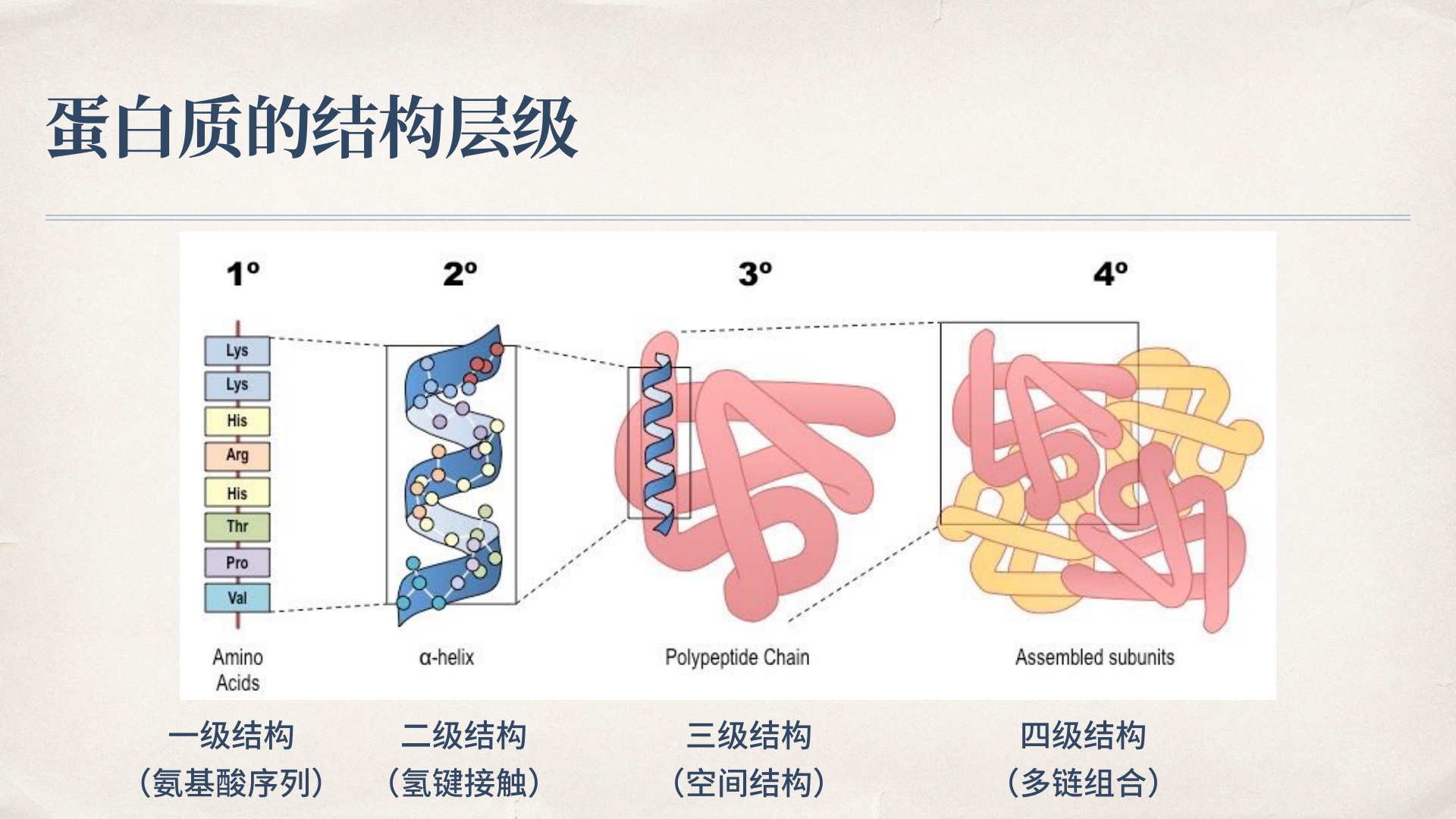 集智斑图 - 用知识连接探索者