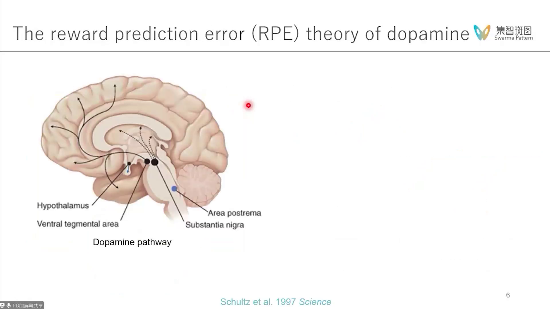 「大脑中的值分布强化学习(Distributional Reinforcement Learning in the Brain)」核心术语与 ...