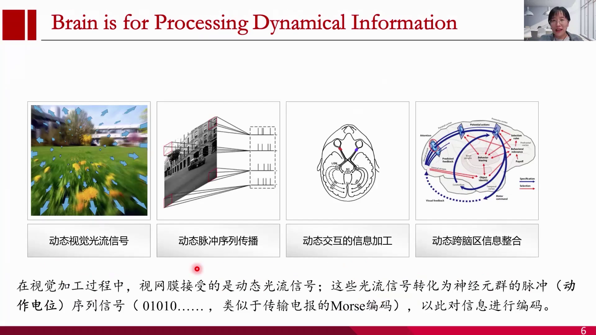 神经计算建模基础与入门 | 集智斑图