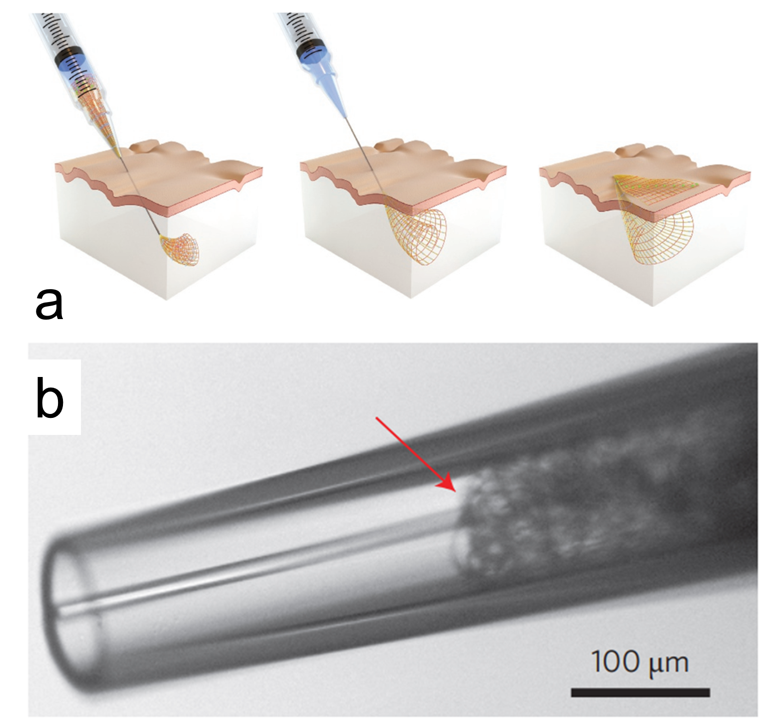 神经电极的发展历程 集智斑图